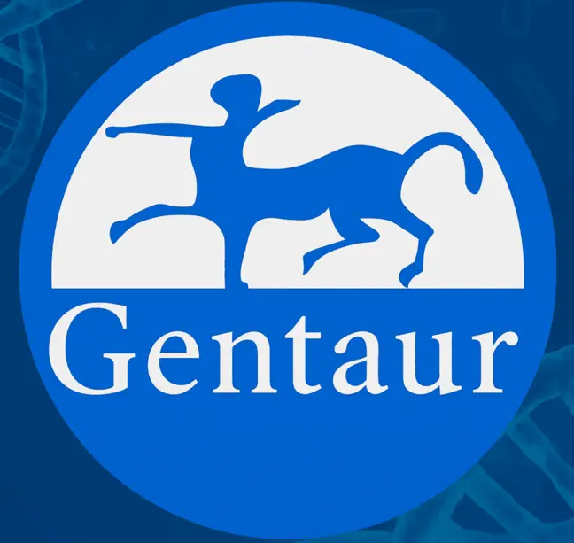 LSAMP Polyclonal Antibody, Cy7 Conjugated - 100 µL