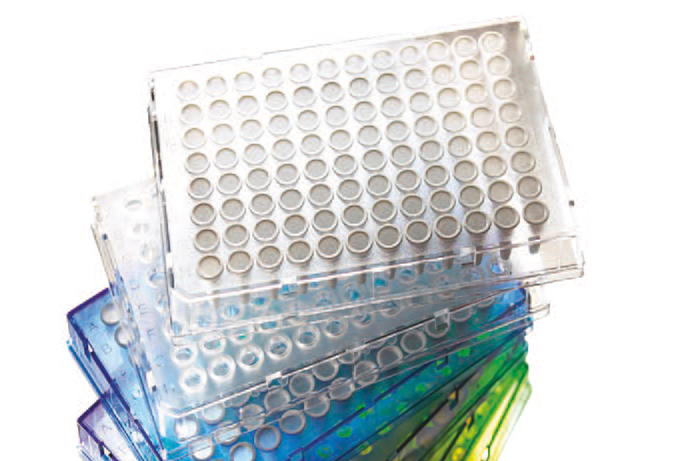 Armadillo 96-Well PCR Plate, Clear Frame, Clear Wells